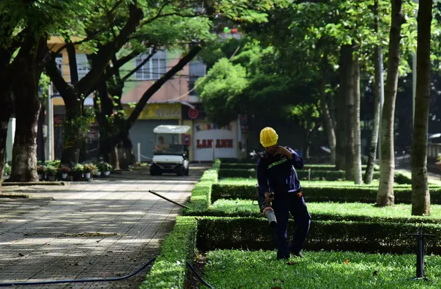 Contrat d’entretien de jardin : est-ce que ça vaut le coup ?