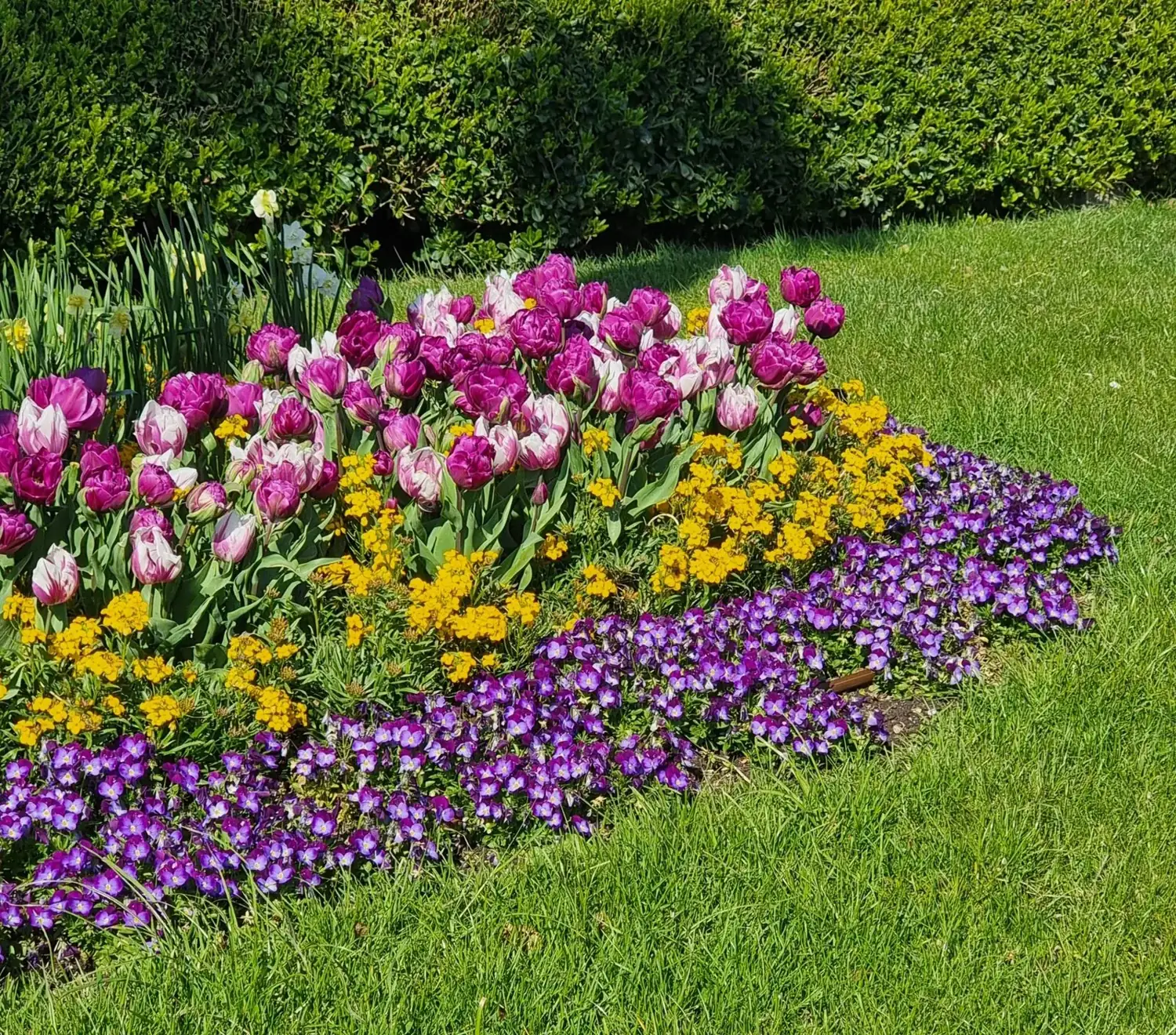 Massifs fleuris
