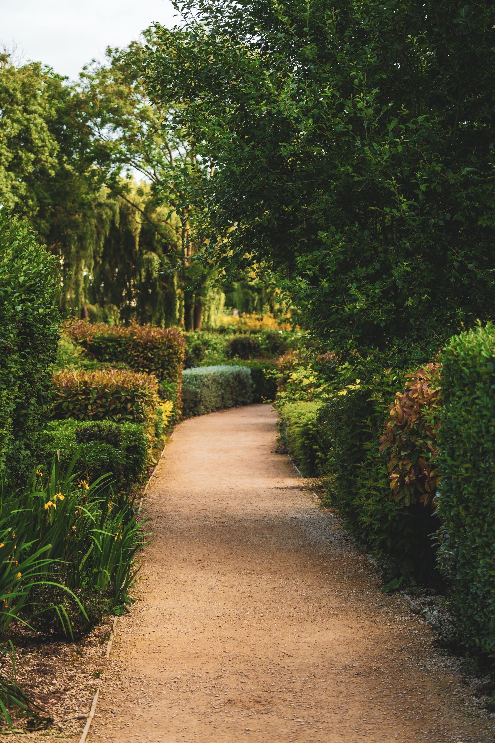 Allée bordée de végétation dans un jardin entretenu par Mika Nature