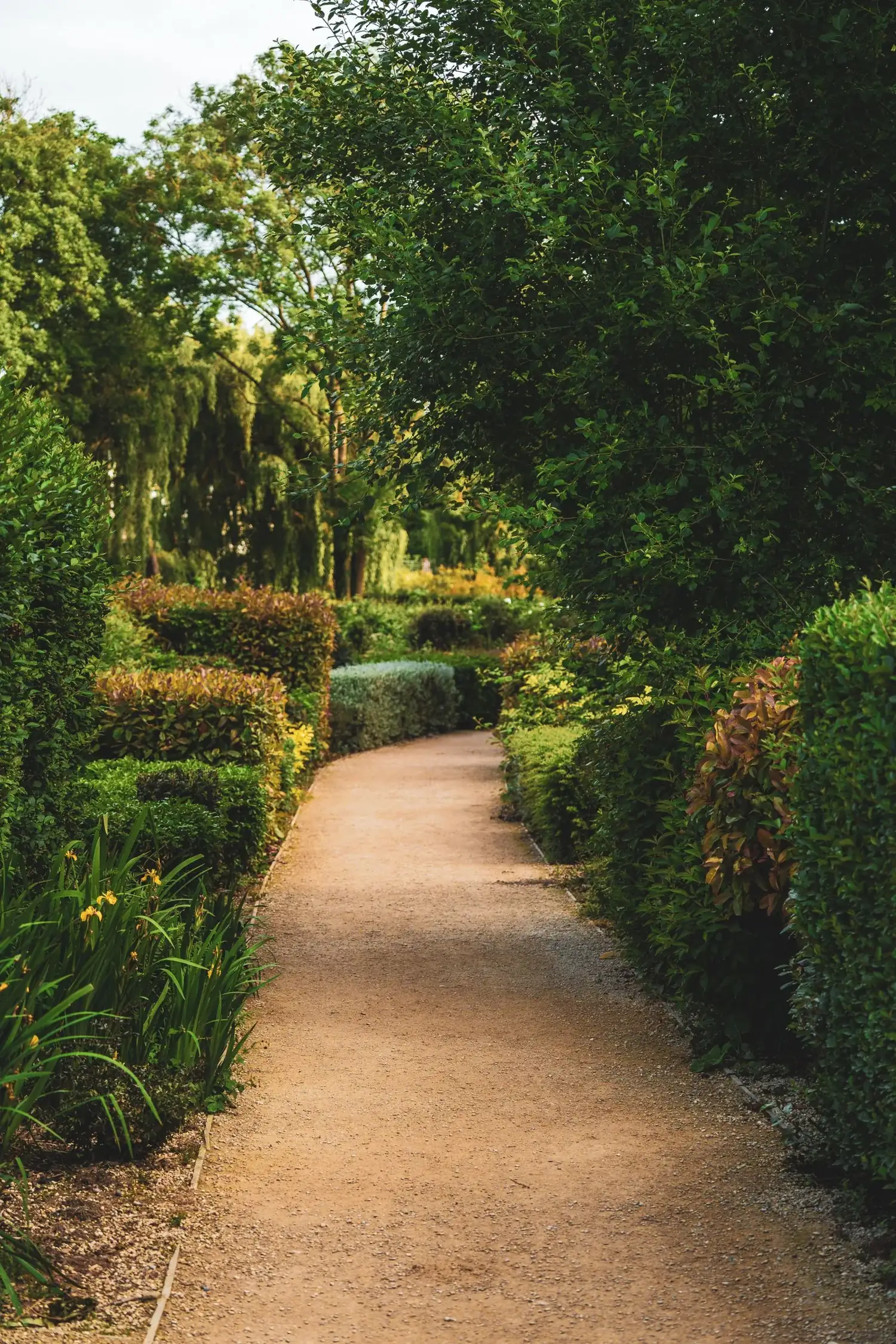 Allée bordée de végétation dans un jardin entretenu par Mika Nature